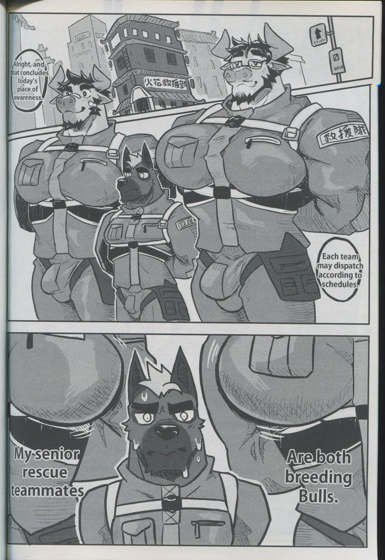 Chapter ' + image.page_number