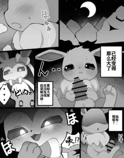 Boku to Neesan no Koto | 我和姐姐的故事 (Pokémon)