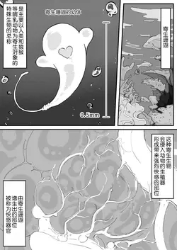 kaikan kikan: kisei gata