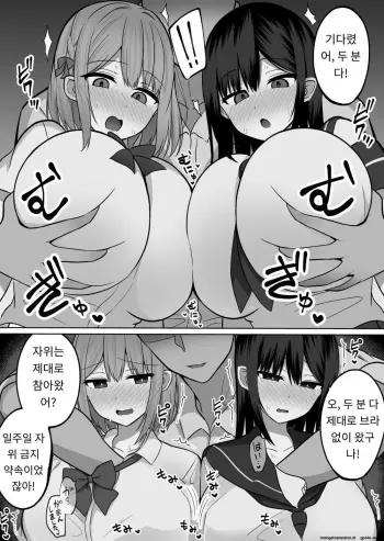 Image from page 5